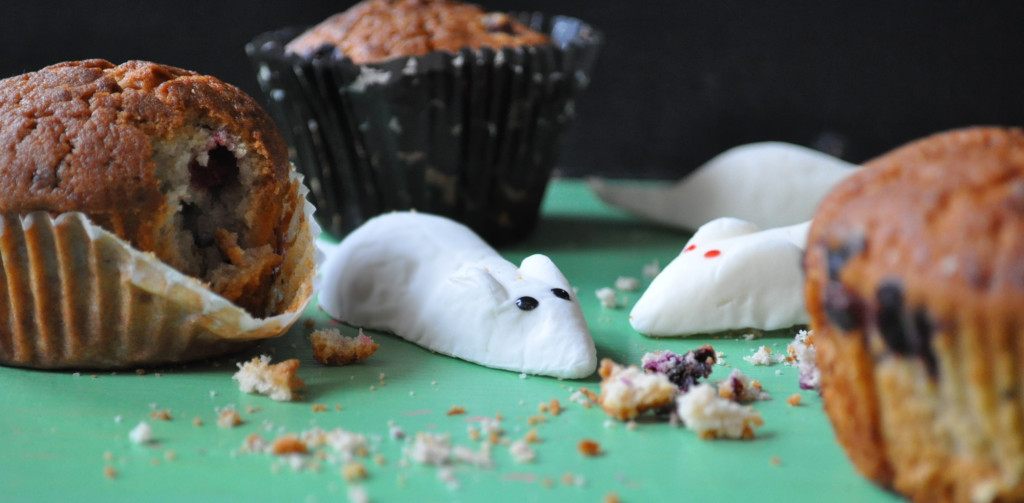 a muffina det. na myš