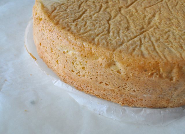 a-torta-korpus
